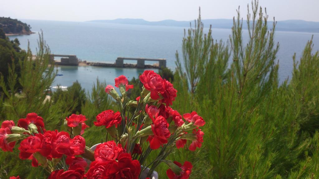 Apartmani SEA VIEW Lokva Rogoznica Cameră foto